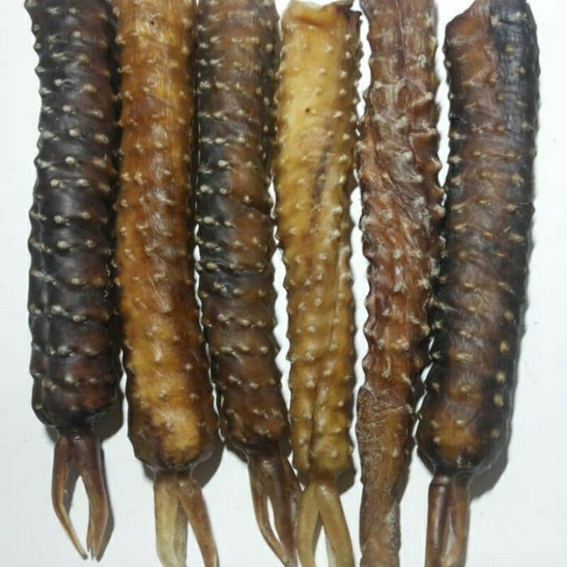 READY COD TERMURAH ORIGINAL TANGKUR BUAYA | Harga per pcs