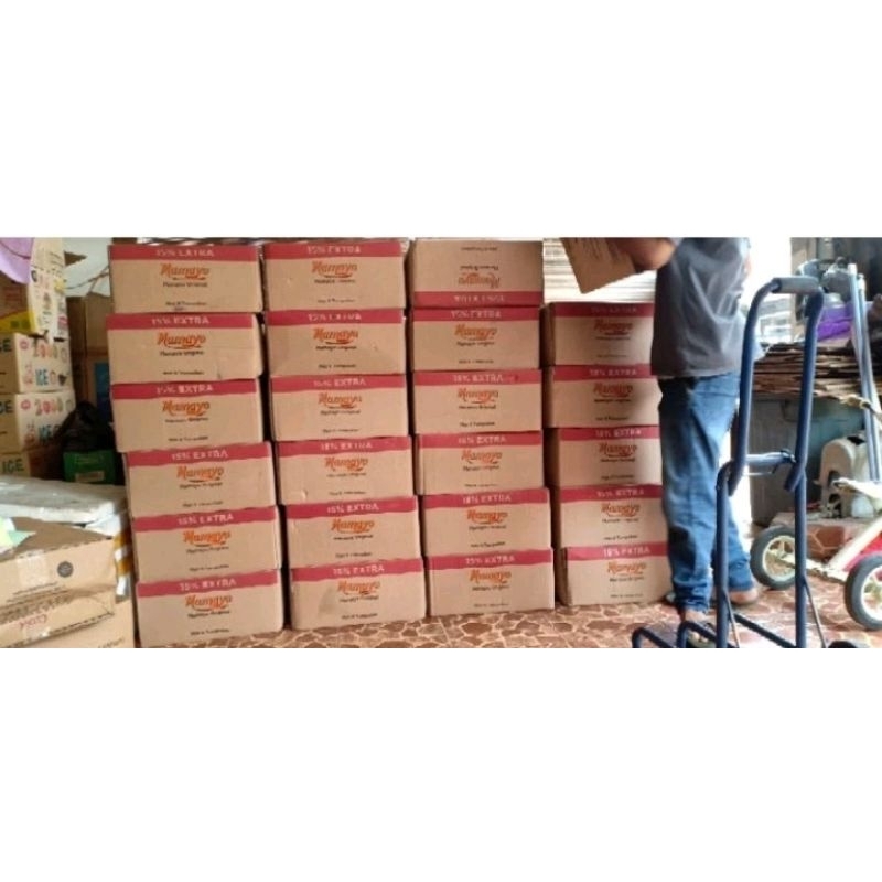 

mamayo 1 dus isi 12 pcs