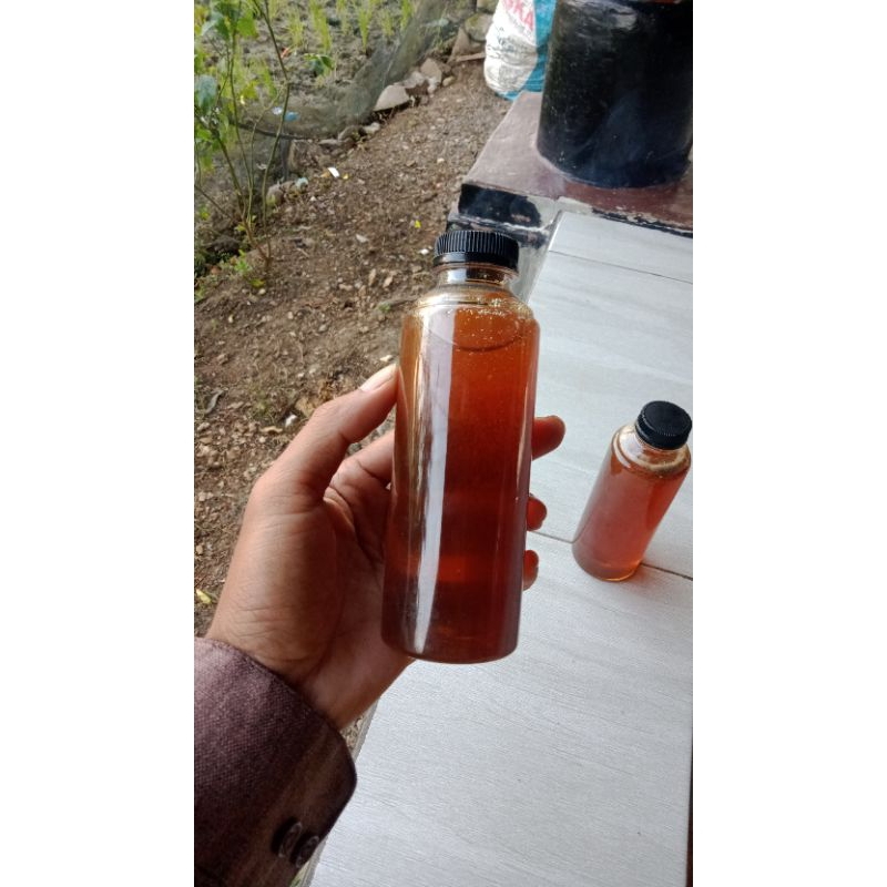 

madu odeng hutan Asli 300 ml