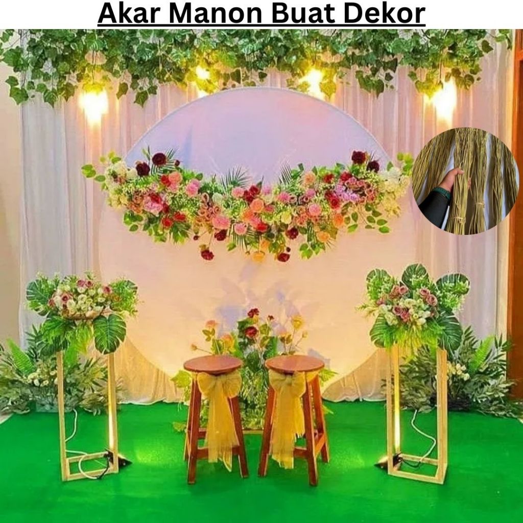 Akar Manon Buat Dekor