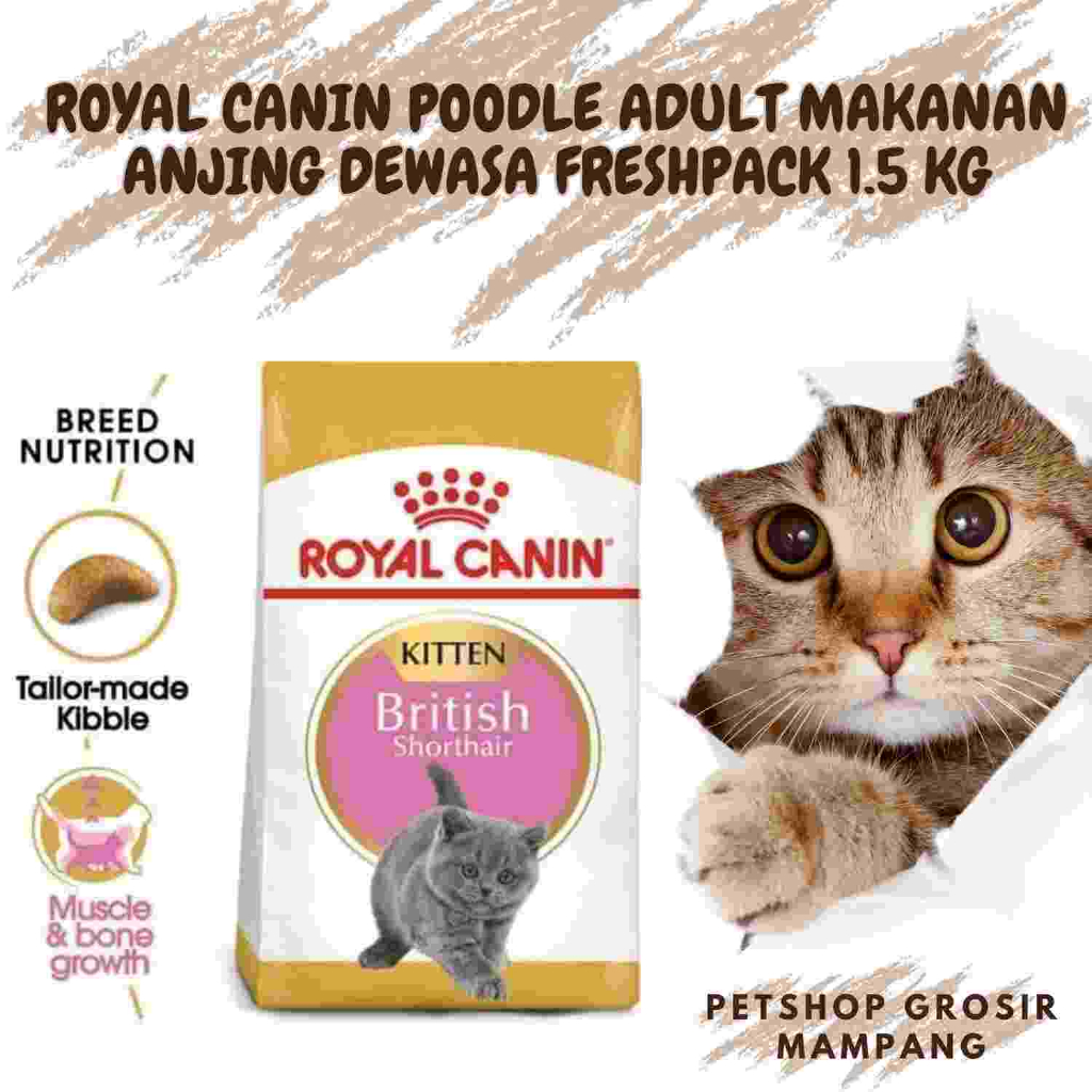 Royal Canin Kitten British Shorthair Makanan Anak Kucing 400 GR