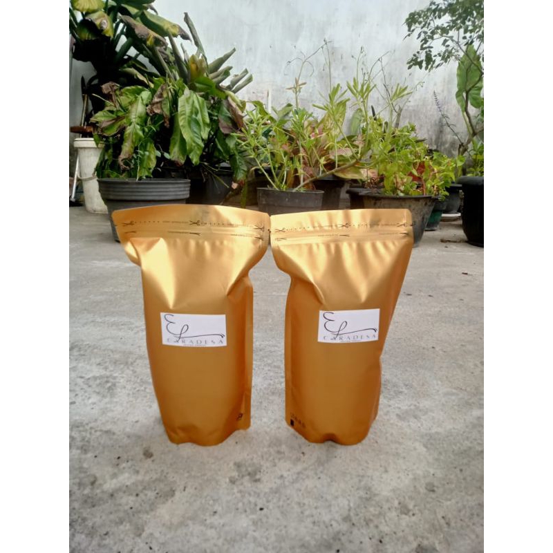 

Sagu Rumbia Bengkulu || obat tradisional magh dan asam lambung
