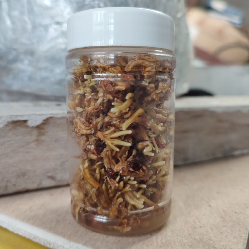 Pupuk Organik Jakaba Spora Biang Bibit Jamur Jakaba Pupuk Penyubur Tanaman