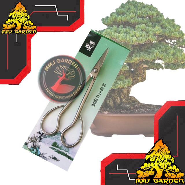 MMJ GARDEN-ALAT BONSAI Gunting pruning bonsai import china