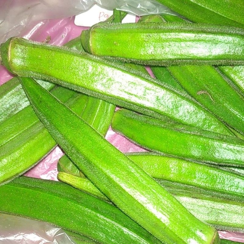 

SAYUR GUMBO / OKRA OKRO / LADY FINGERs Segar