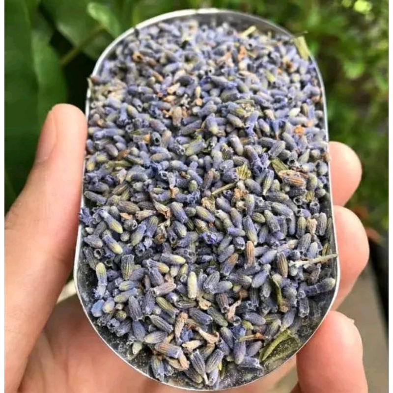 

Teh Lavender kemasan Pouch 250gr