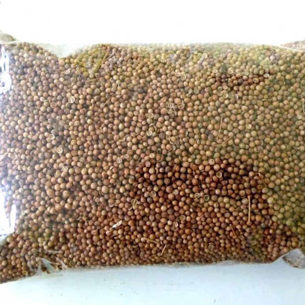 

TADR74 Ketumbar 5gr Biji Ketumbar Alami Natural Tanpa Pemutih Top Discount