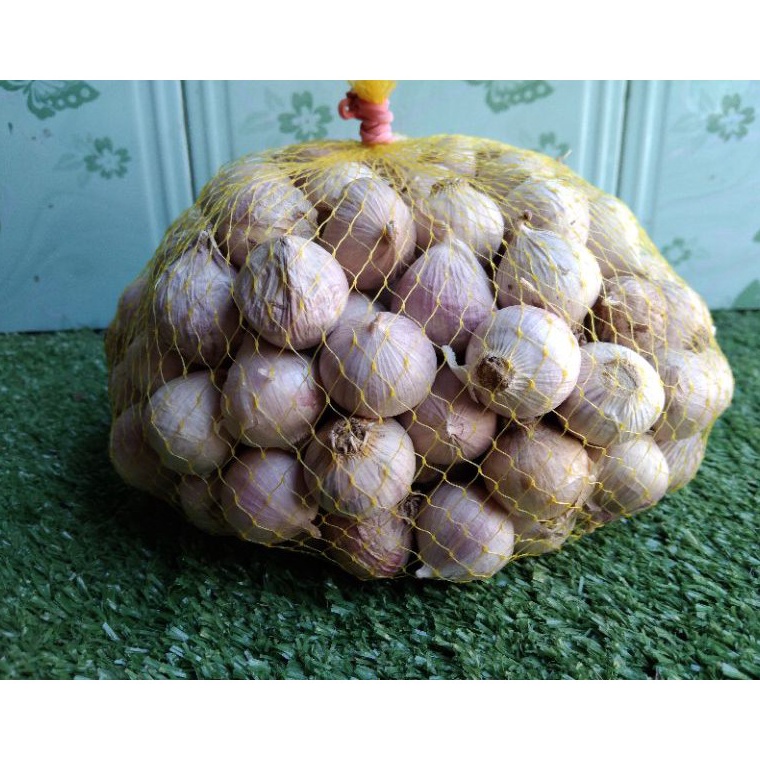 

Banyak Stok Bawang Putih Tunggal ukuran Besar 1 kg 298