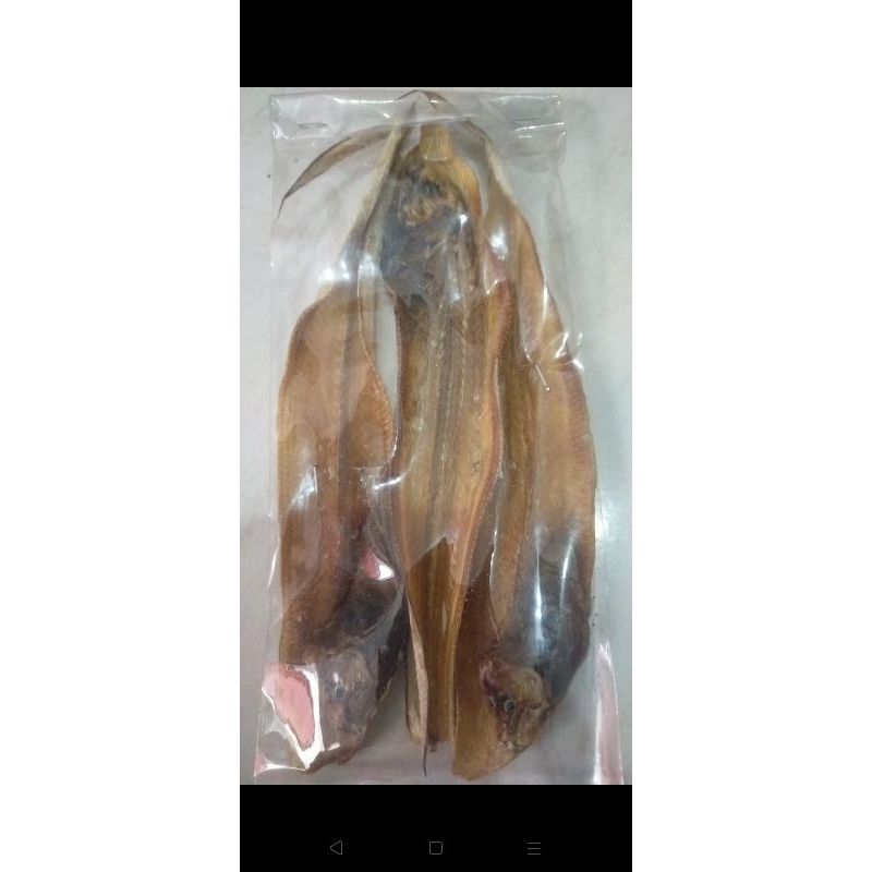 

IKAN ASIN ENAK