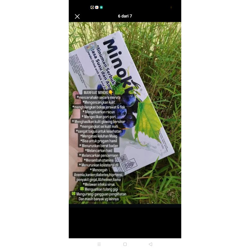 Minoki jazeera minuman collagen