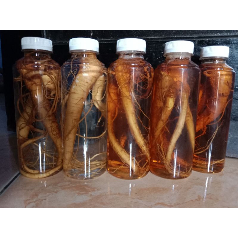 

fermentasi ginseng merah + arak 250ml