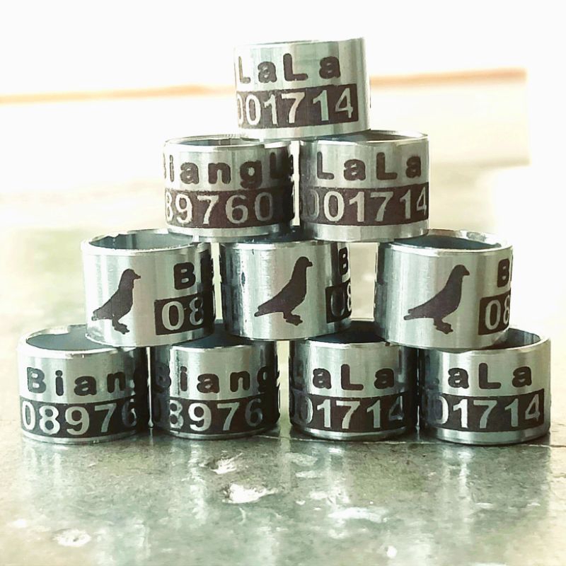 10 biji ring merpati cetak nama no.hp puter pelung bahan baja