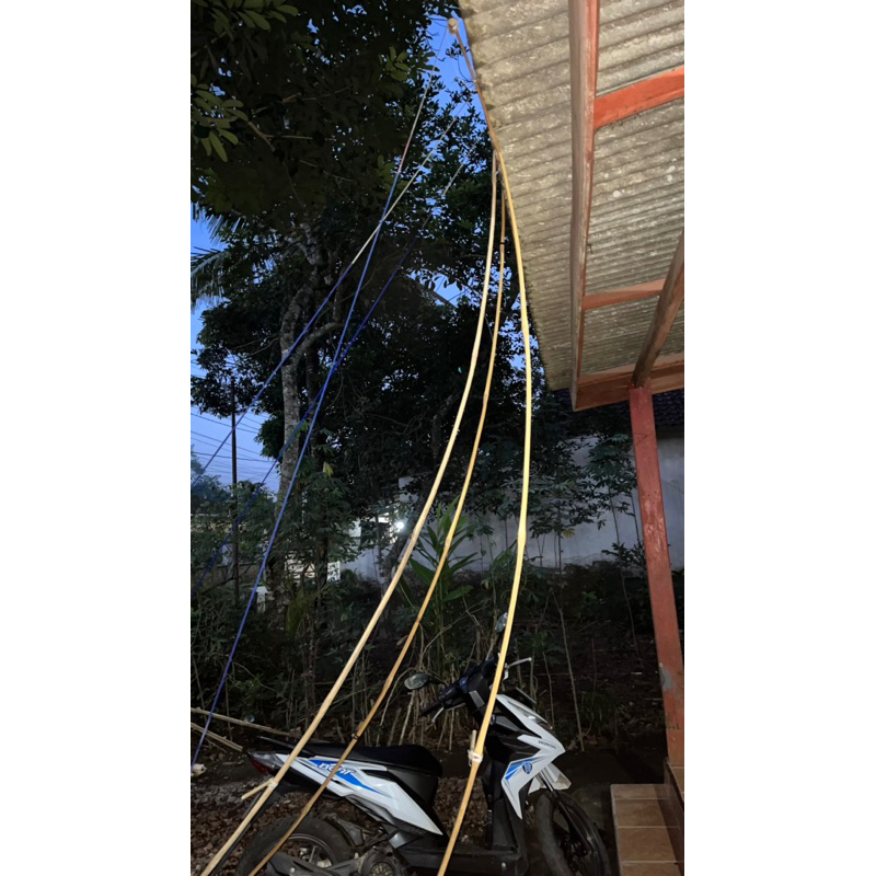 sendaren 4 meter untuk layangan pegon