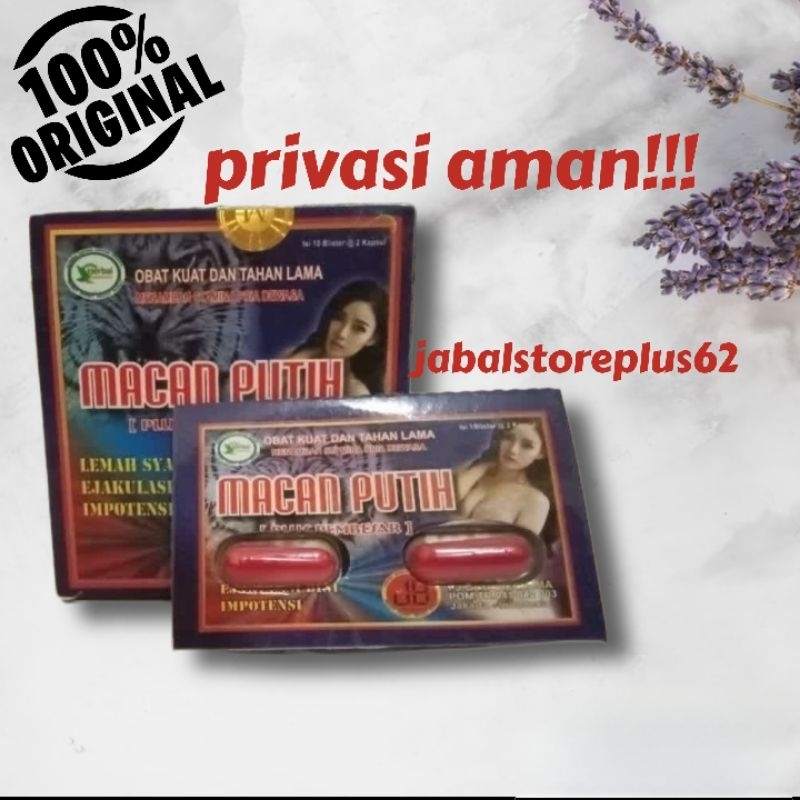 macan putih kapsul kesehatan pria dewasa