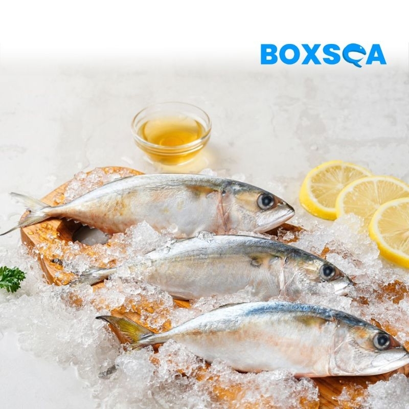 

IKAN KEMBUNG PREMIUM 500 GR