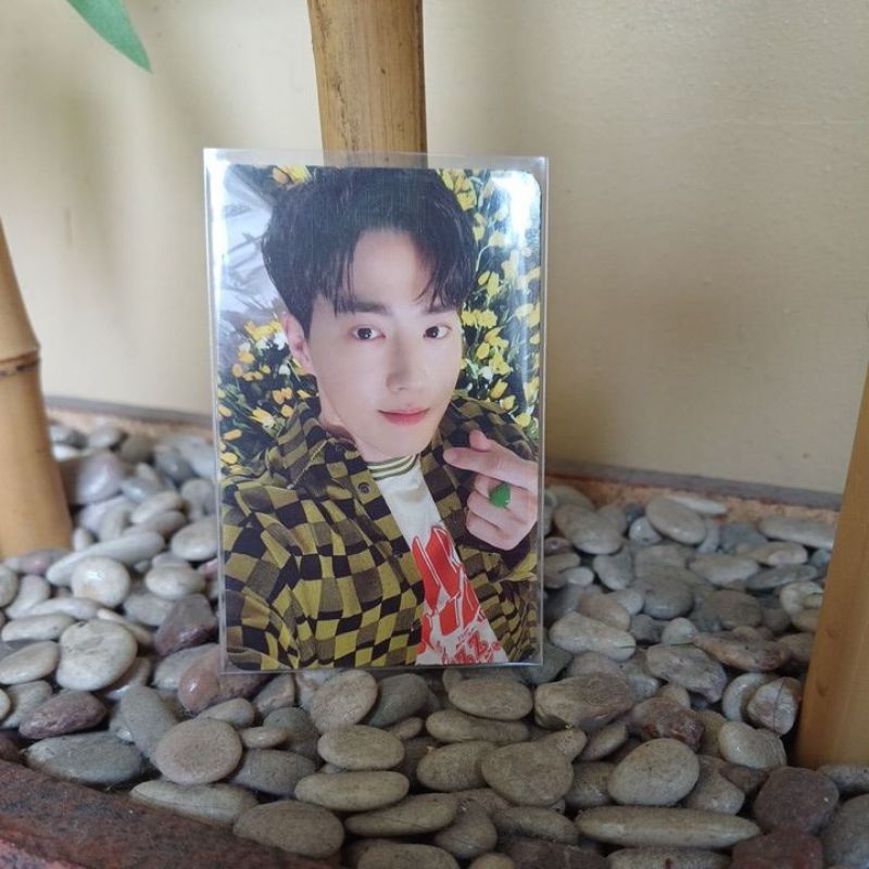 CLEARSALE PHOTOCARD OFFICIAL SUHO EXO BUNGA TULIP KUNING LOVE GREY SUIT [EKSPEDISI HANYA JNT]