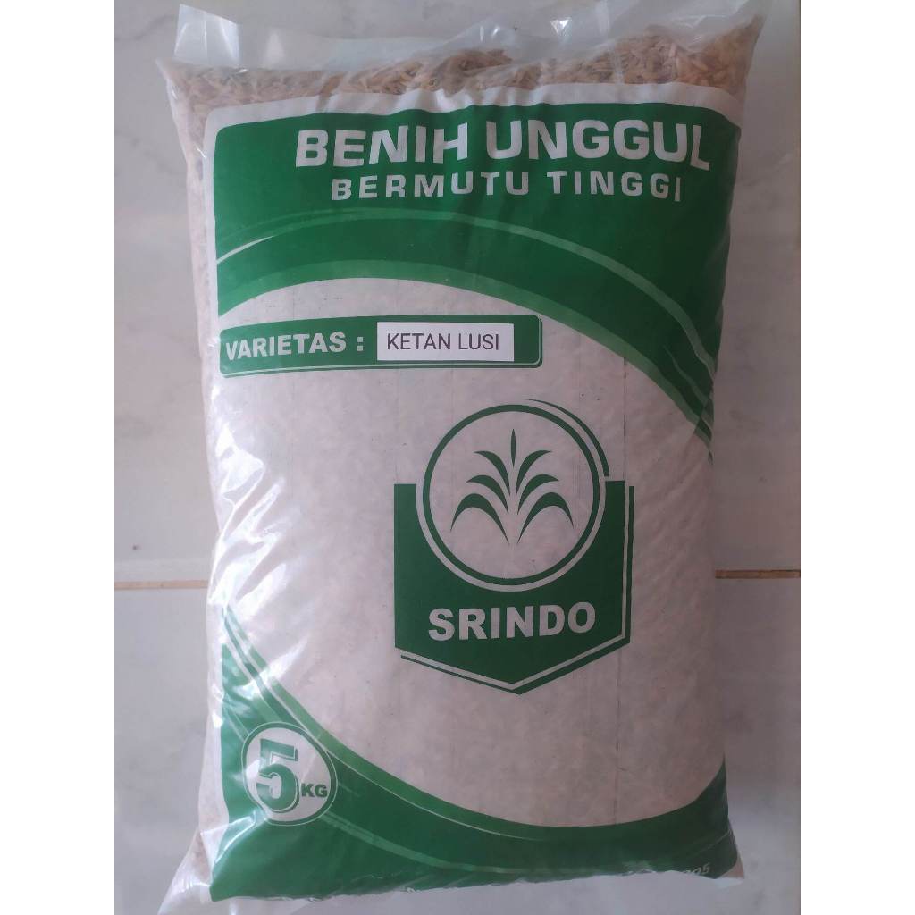 BENIH PADI KETAN LUSI KEMASAN 5 KG LABEL PUTIH