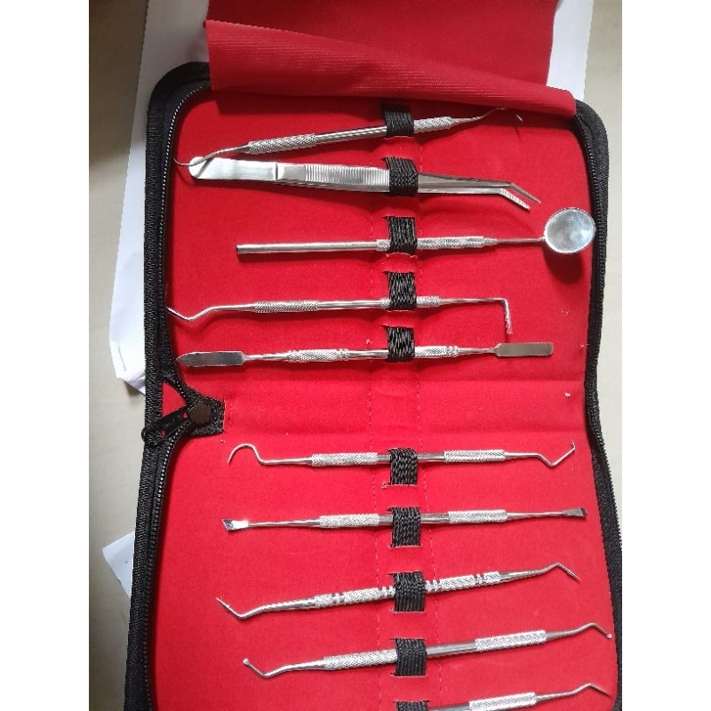 Diagnostic Instrument Basic Set Dental (1 Set isi 10)