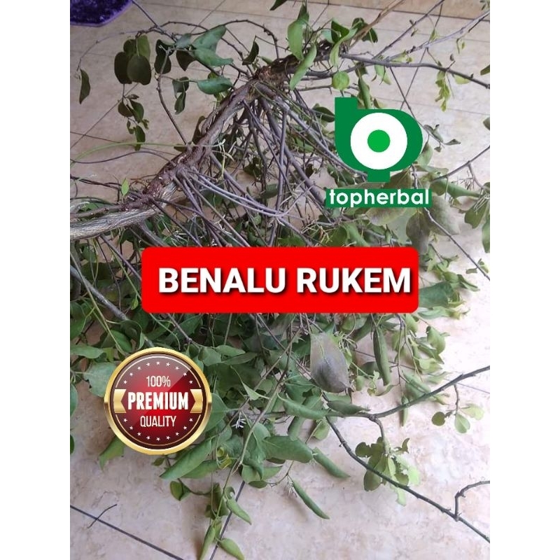 

Benalu Rukem Kering Hijau 1 KG