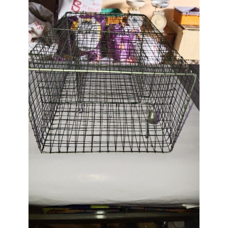 Perangkap tikus massal