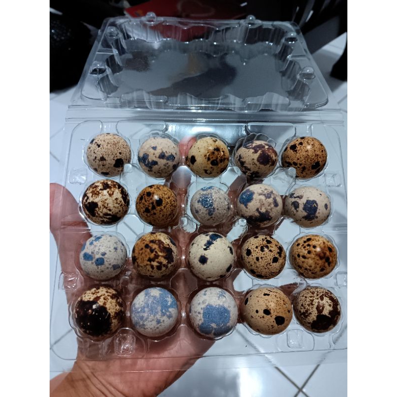 

Telur Puyuh Mentah Fresh isi 20 butir