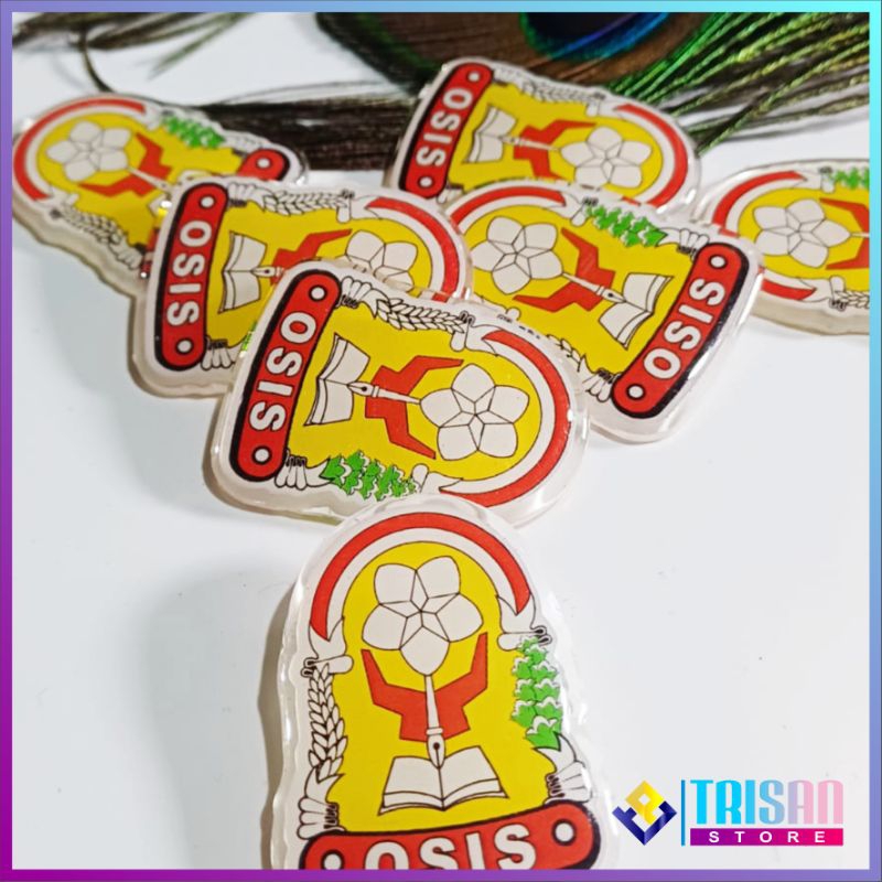 pin osis