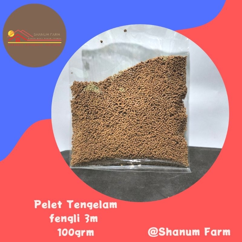 pelet tengelam fengli 3m 100g