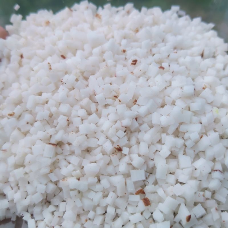 KELAPA Umpan GALATAMA Ikan Bawal ESSEN GACOR OMSET