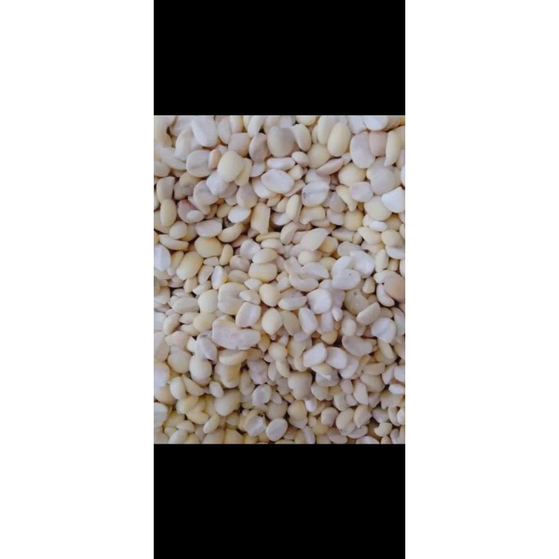 

jali jali aceh lokal/pearl barley/ ibi lokal