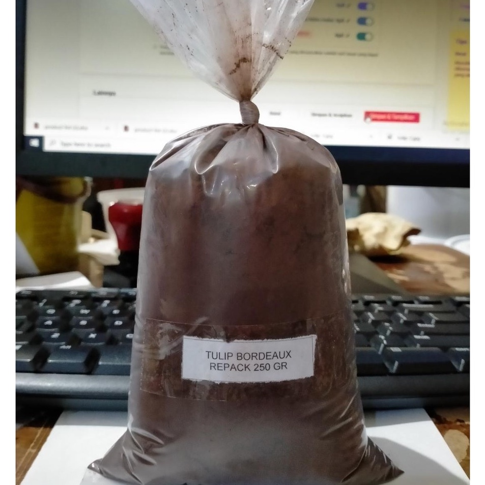 

Model Terkini Coklat Bubuk Tulip Bordeaux Coklat Bubuk Rep 25gram Pasti Murah
