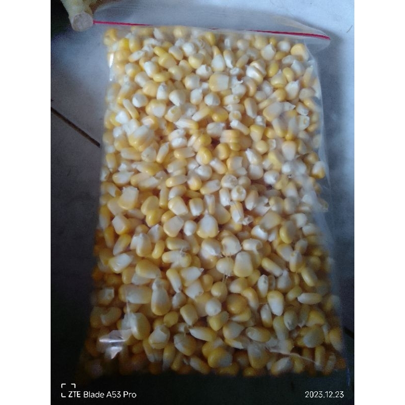

jagung pipil manis super