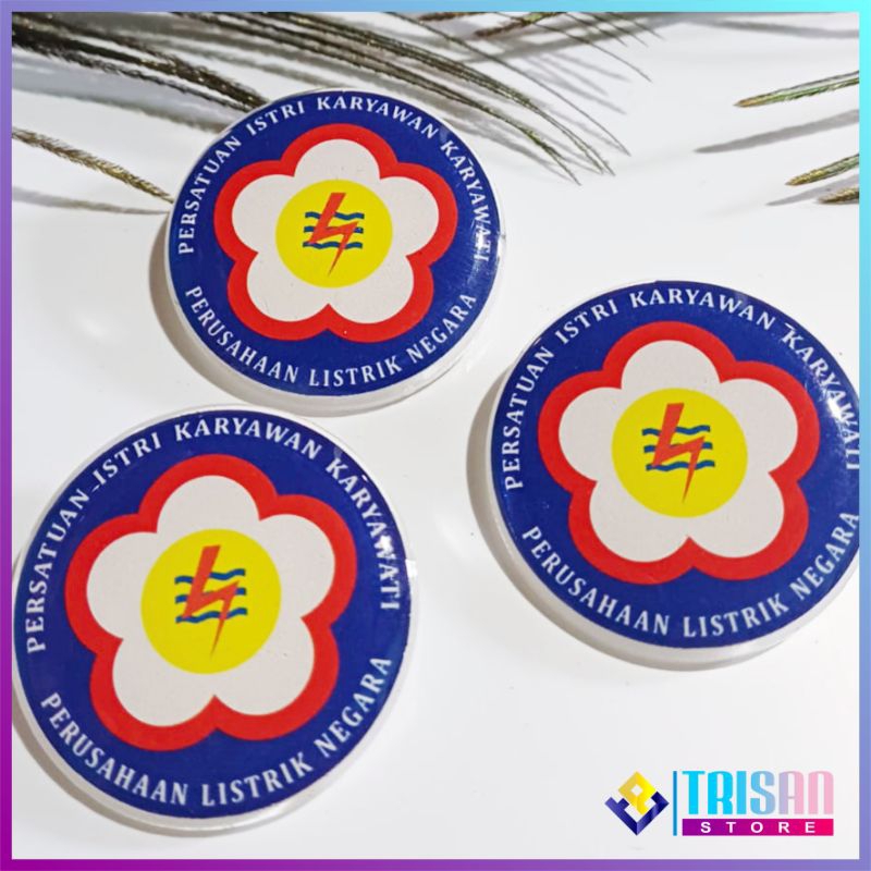 pin PIKK PLN