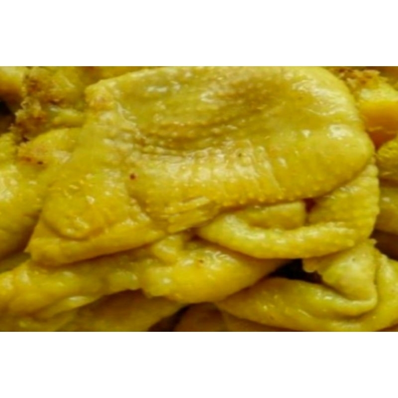 

AFGC Kulit Ayam Ungkep Bumbu Kuning 1/2 Kg-1 Kg