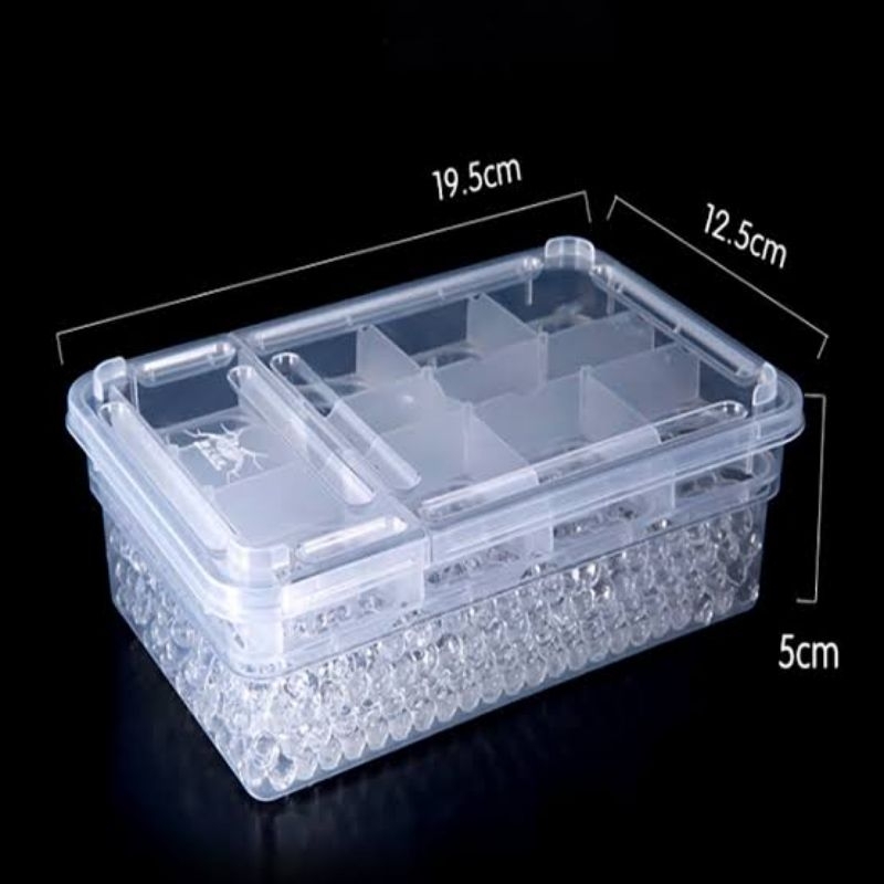 Reptile Egg Incubator Tray Box 20 Slots- Box incub Inkubasi Telur Reptil gecko
