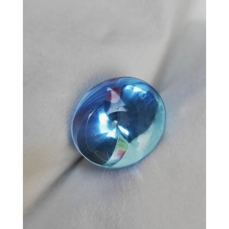 KECUBUNG BIRLA KECUBUNG BIRU LAUT KECUBUNG BORNEO KALIMANTAN