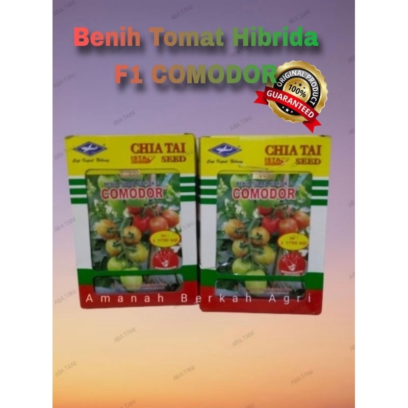 Benih Tomat Hibrida F1 COMODOR Original 100%