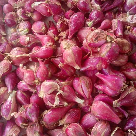 

bawang merah brebes premium /2kg