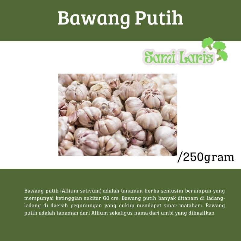 

Bawang Putih