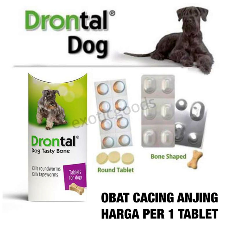 DRONTAL DOG 1 TABLET OBAT CACING ANJING OBAT ANJING DRONTAL ANJING DRONTAL PLUS CACING ANJING