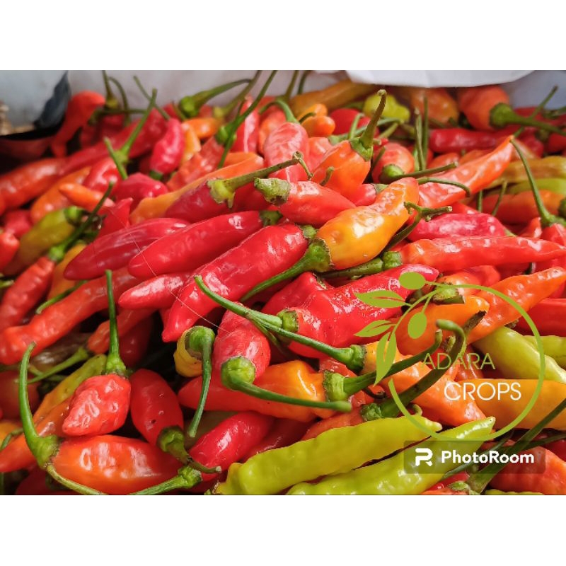 

Cabe Rawit Merah Segar Lokal 1kg