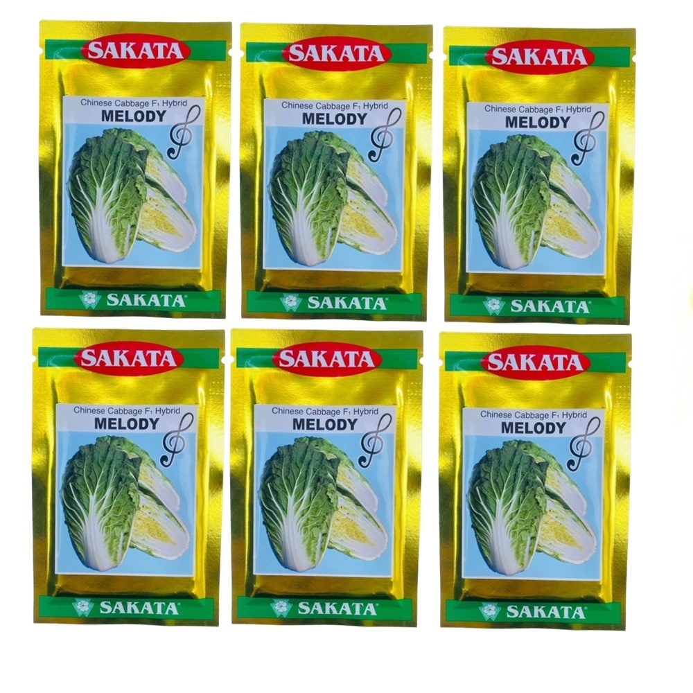 Benih Sakata Sawi Putih/Sawi Putih F1 Sakata Melody