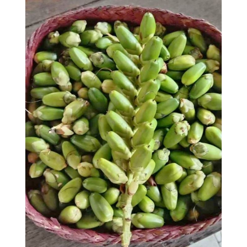 

Buah druju/jeruju 1 kg