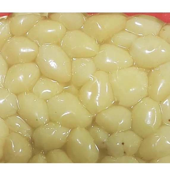 

MEGA SALE ginkgo biloba 25 gr gingko biloba kupas