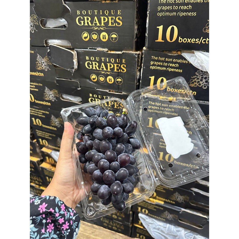 

Auntum Anggur Import 500gr