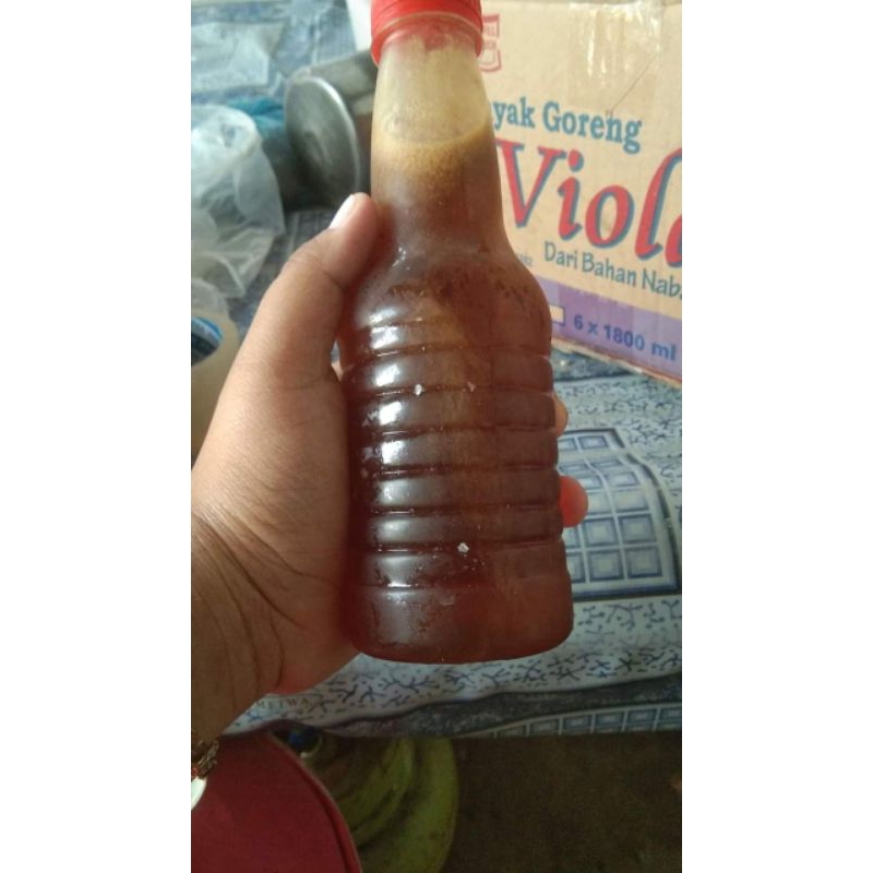 

Madu Trigona asli 100%