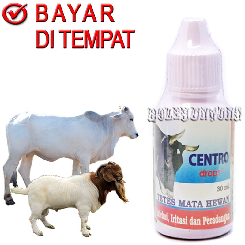 CENTRO Obat Tetes Mata Sapi Kambing Sakit Infeksi Bengkak Merah