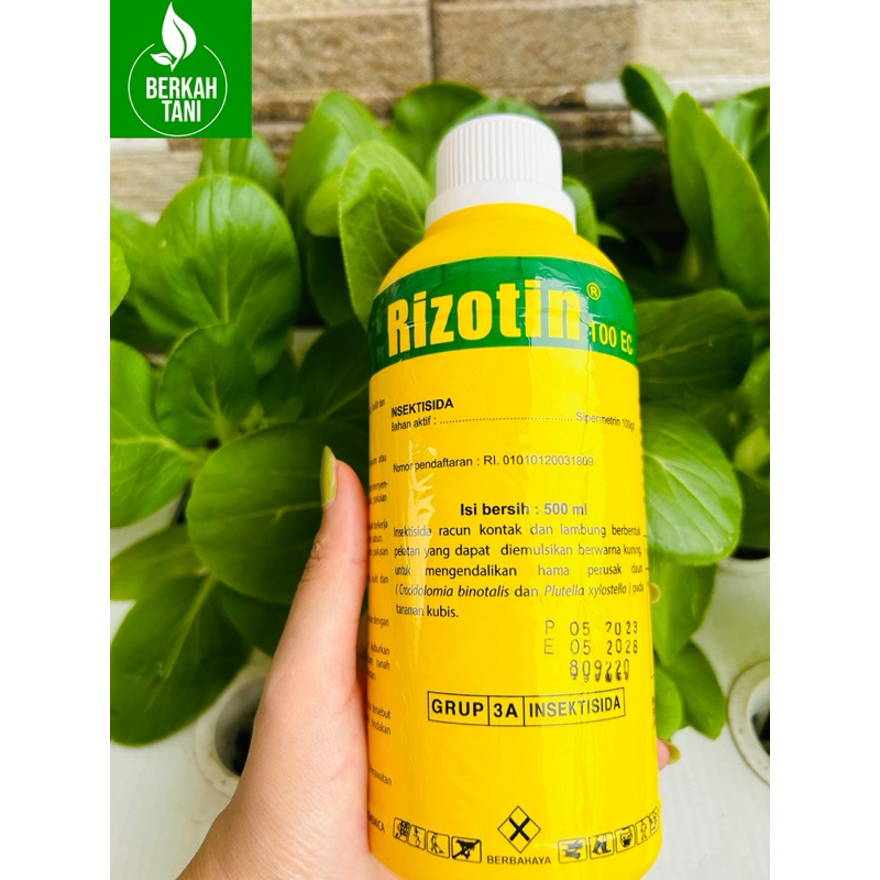 Insektisida Rizotin 100EC 500ml