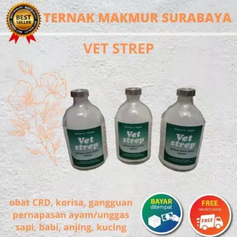 Vet Strep 25 gr