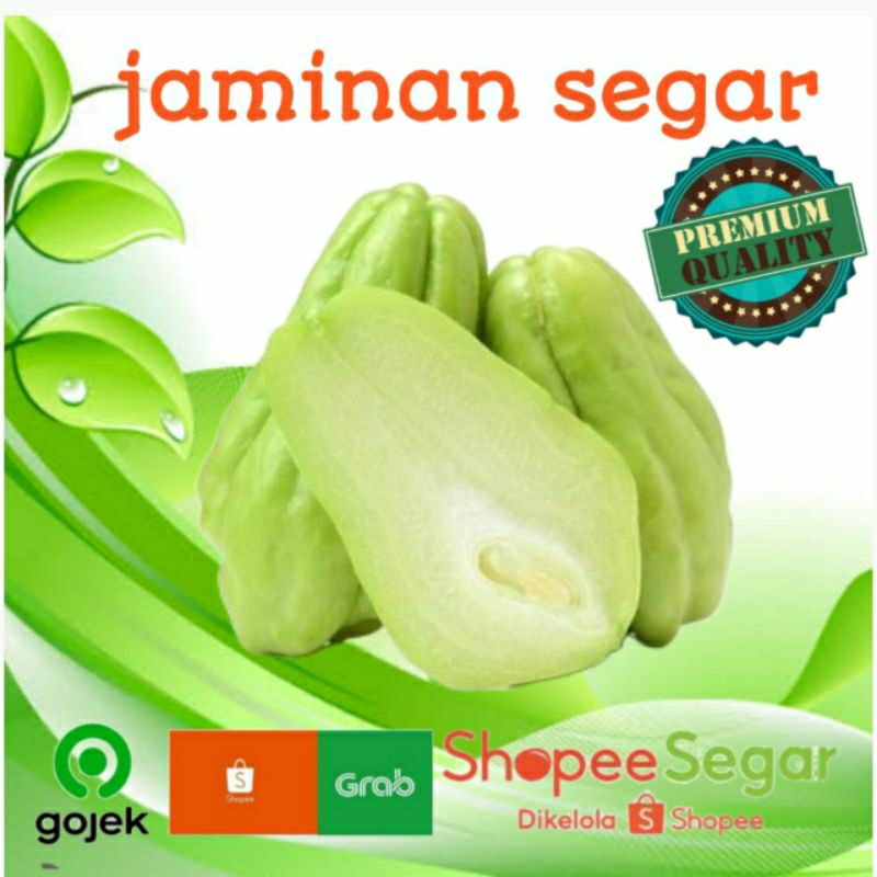 

labu besar perbiji