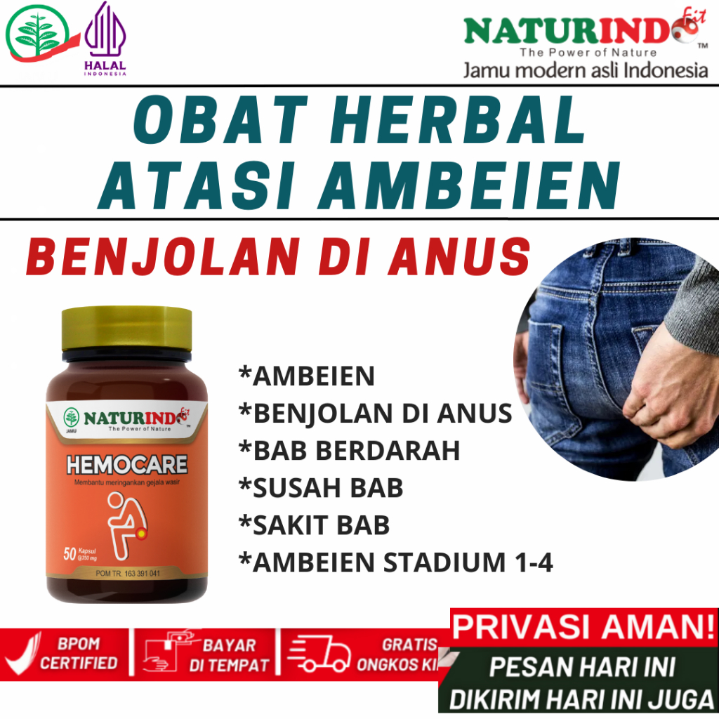 Obat Wasir Obat Ambeien Benjolan Anus Hemocare Herbal Ampuh Hemocare Naturindo